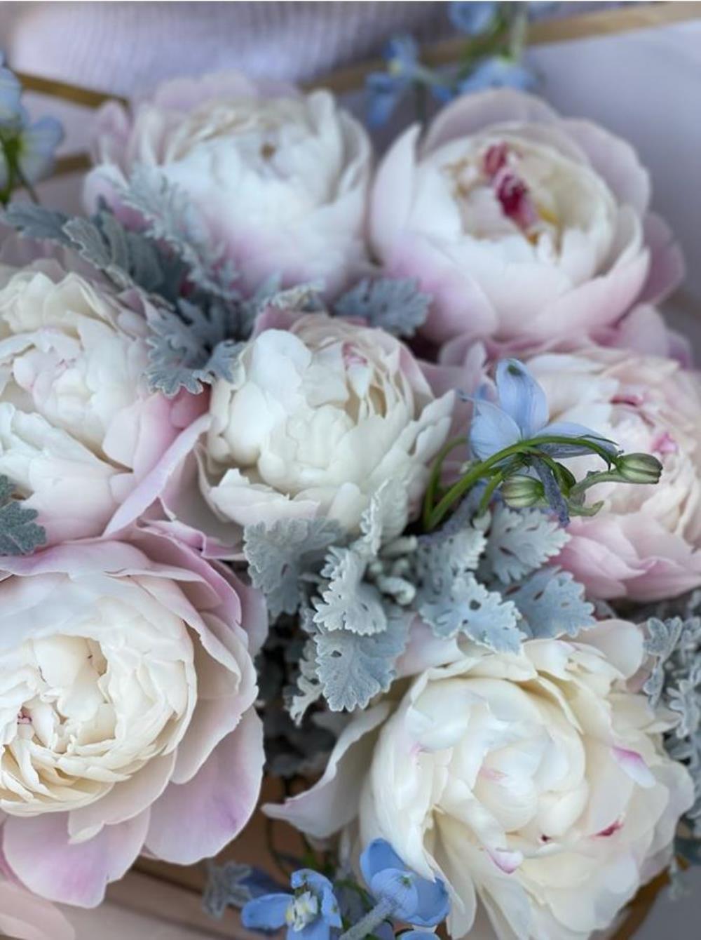 Festiva  Maxima & Delphinium Şakayık Buketi 